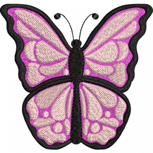 cute butterfly design