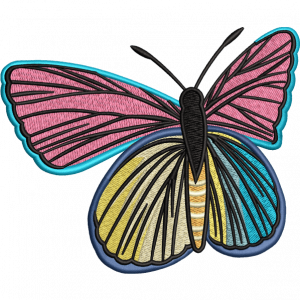 color butterfly embroidery design