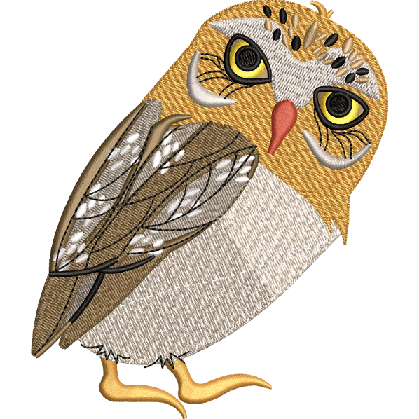 Staring Owl Design