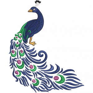 blue peacock embroidery design