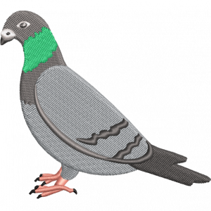 grey pigeon embroidery design