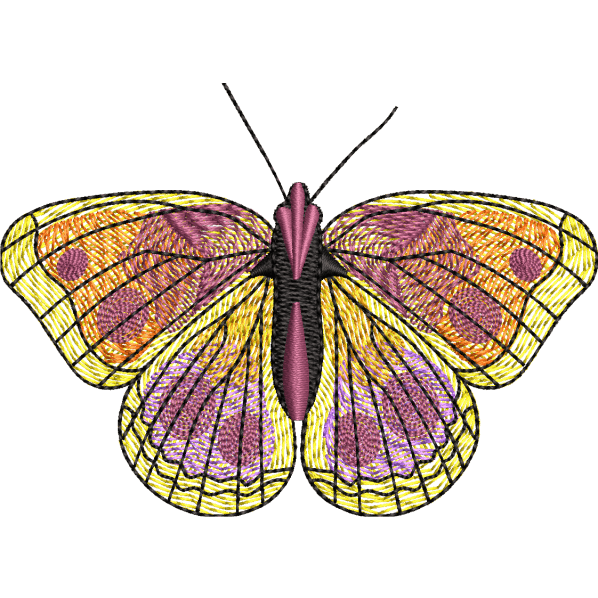 Cute Butterfly Design