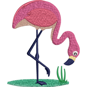 Flamingo Bird Design