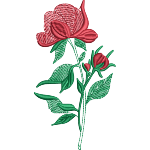 Red Flower Design