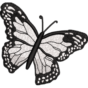 Black White Butterfly Design