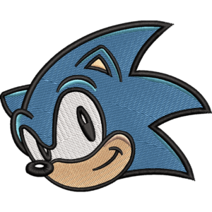 Sonic Cartoon Design