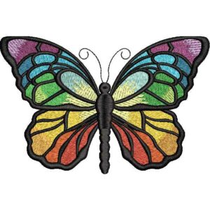 Beautiful Multicolor Butterfly Design