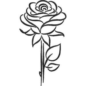 Beautiful Flower Rose Design