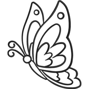 Butterfly Outlined Design