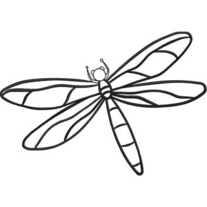 Dragonfly Black Design
