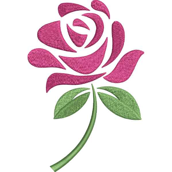 Beautiful Pink Rose Design
