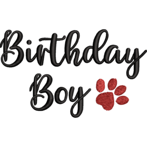 Birthday Boy Text Design