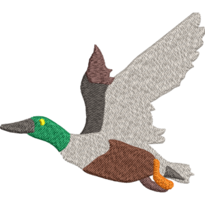 Flying Duck Design