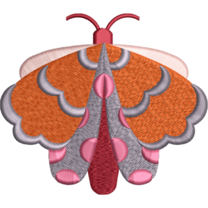 Pumpkin Color Butterfly Design