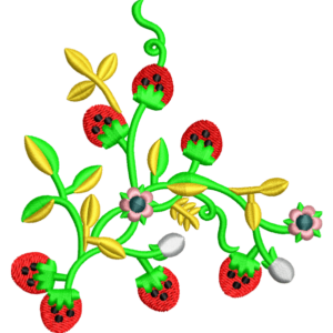 Strawberry Plant Design