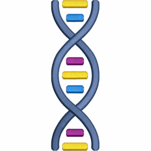 DNA Double Helix Design